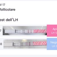 Chi non le aspetta per novembre 2023 🌰🍂🤎 - 1