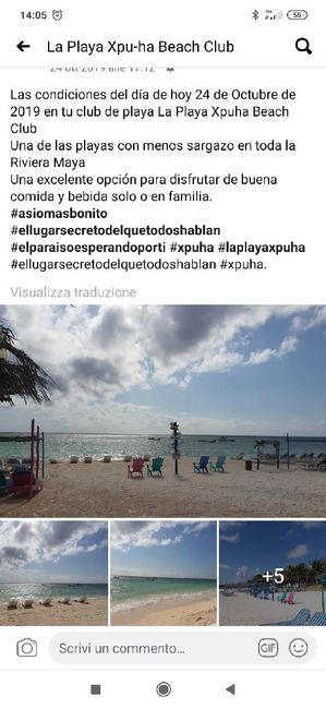 Luna di miele Ottobre help! - 1