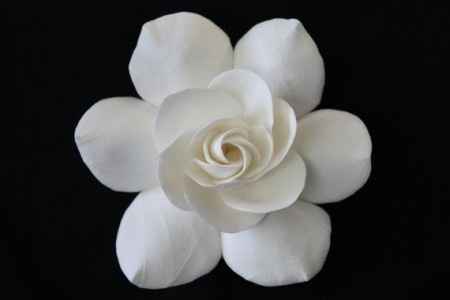 bella la gardeniaaaaaaaa