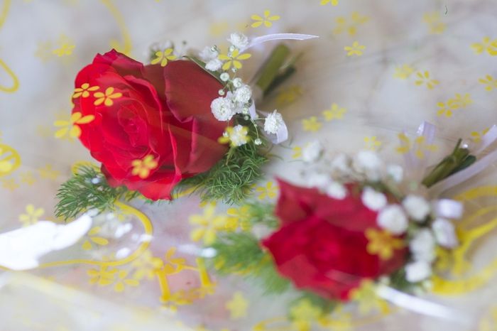 14.06.14 a Mortara (PV)