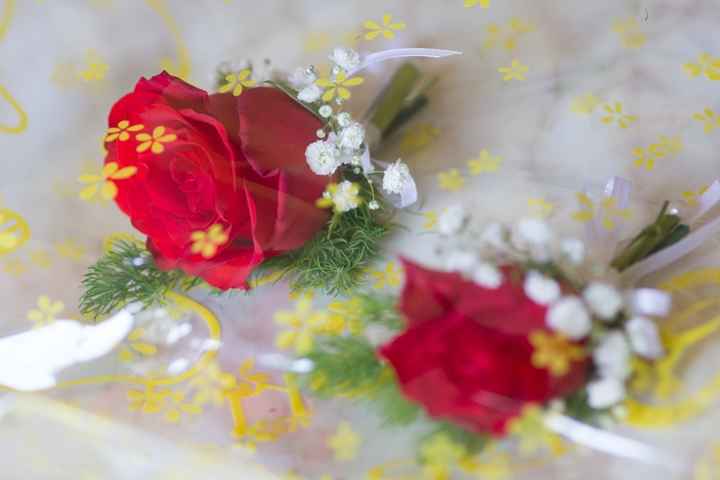 14.06.14 a Mortara (PV)