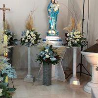 L'erba delle Pampas per il 2020 - 1