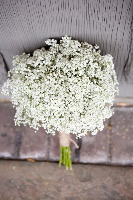 Idee per Bouquet: GYPSOPHILA