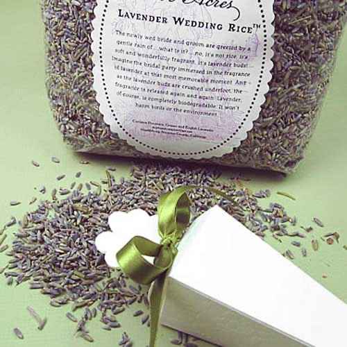 Lancio del…la lavanda? - 1