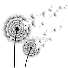 Nome tavoli fiori - 4