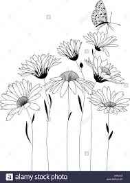 Nome tavoli fiori - 5