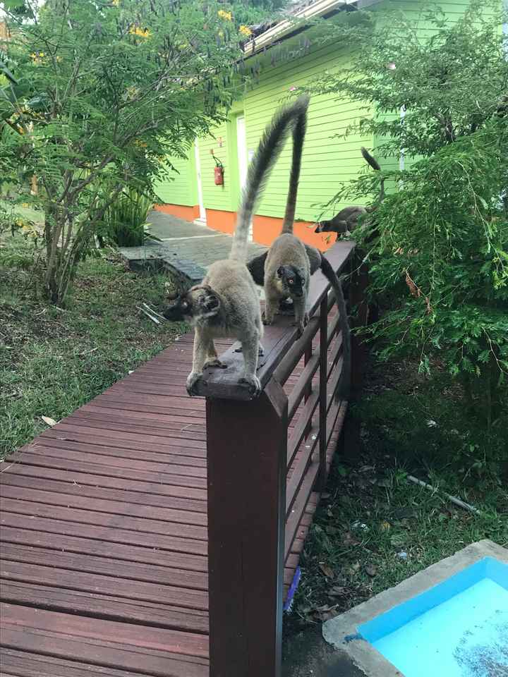 Saluti da Mayotte - 2