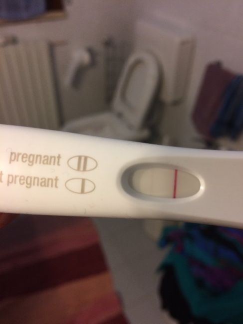 Chi mi fa compagnia? - 1