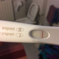 Chi mi fa compagnia? - 1