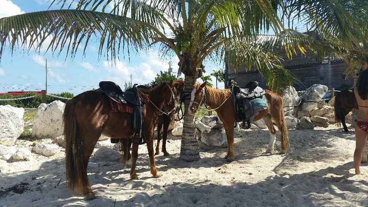 Viaggio di nozze crociera ai caraibi - 5