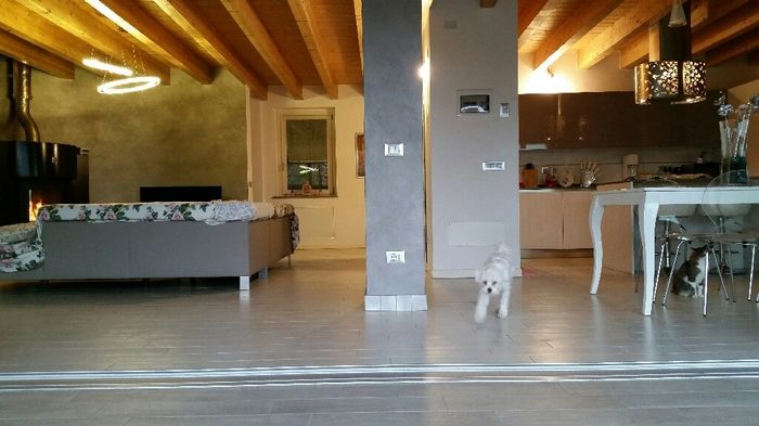 Finalmente il pavimento!!! - 1