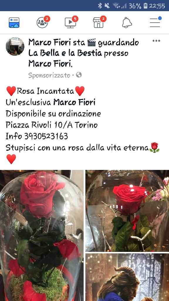 Centrotavola disney - 1