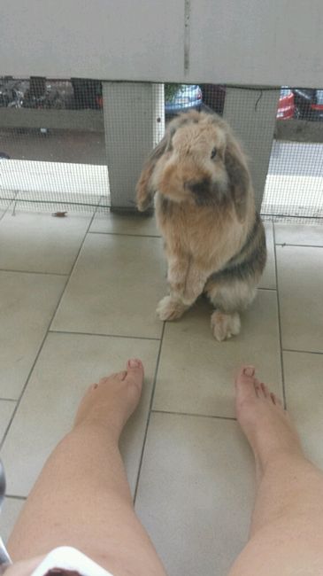 Il mio favoloso cake topper!! - 2