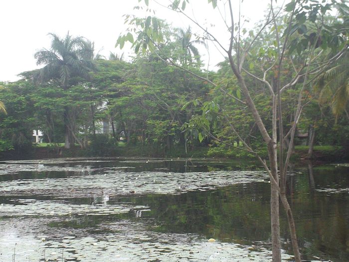 La nostra luna di miele....parte 2° 