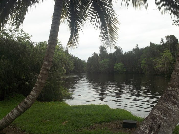 La nostra luna di miele....parte 2° 