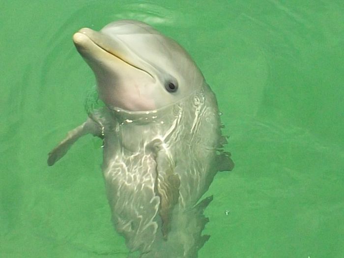 La nostra luna di miele....parte 2° 