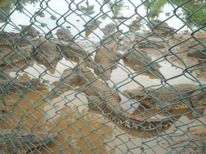 La nostra luna di miele....parte 2° 