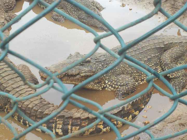 La nostra luna di miele....parte 2° 