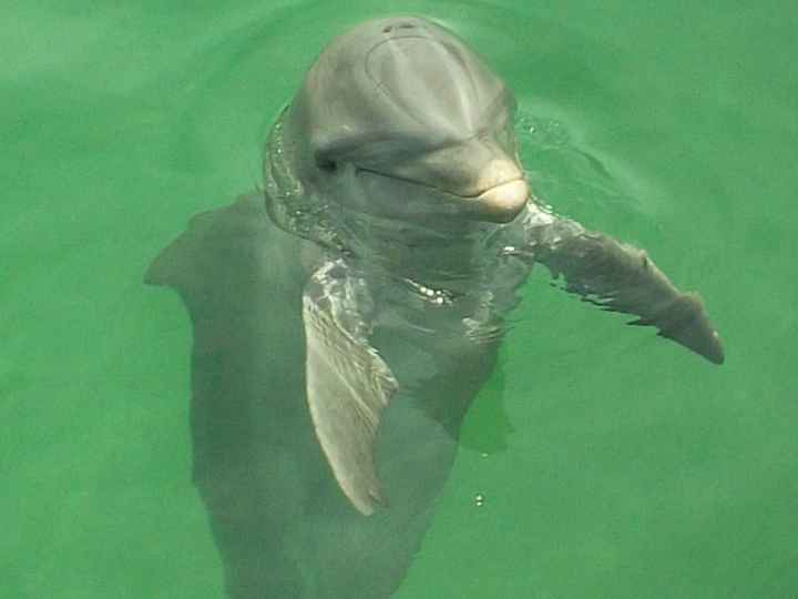 La nostra luna di miele....parte 2° 