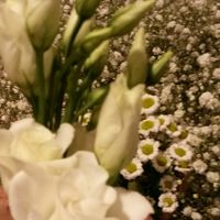 Quali fiori a settembre? - 1