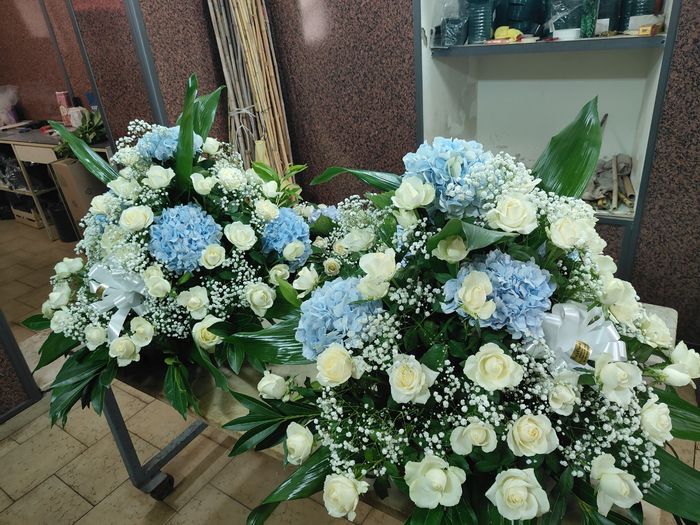 Fiori🌺🌹🌷 - 2