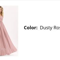 Abito damigella e testimoni - 2