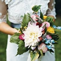 Cerco consigli su catering, Padova - 1