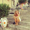 Romina
