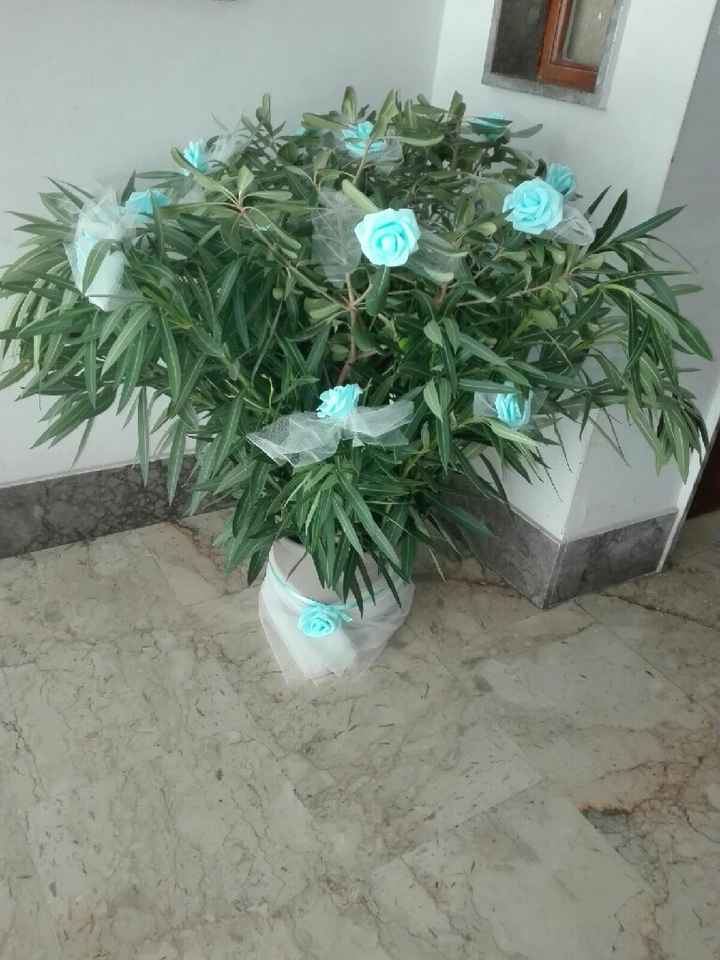  Costo matrimonio - 2