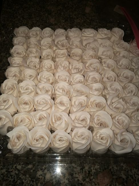 Petali di sapone - 1