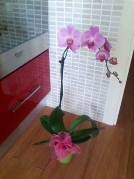 Il colore Pantone di questo 2014 è.... - 1