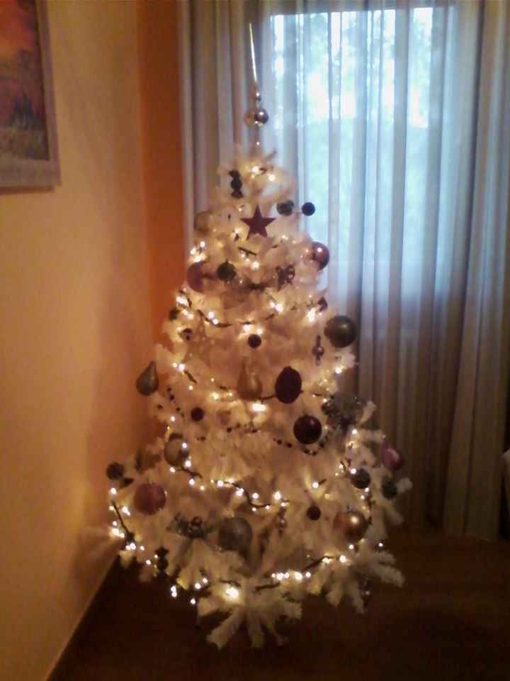 Il nostro primo albero di natale - 3