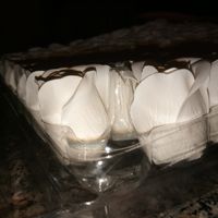 Petali di sapone - 2