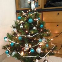 Pubblichiamo la foto dei nostri alberi!! ;) - 1