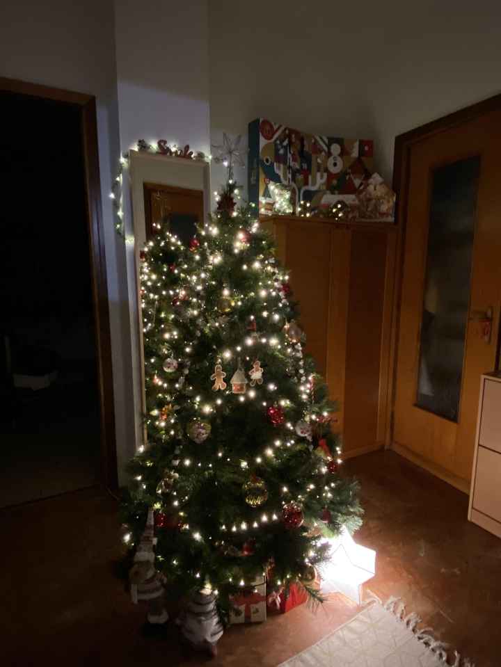 Avete mai fatto l'albero insieme? - 1