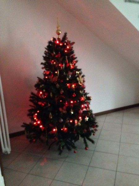 Pubblichiamo la foto dei nostri alberi!! ;) - 1