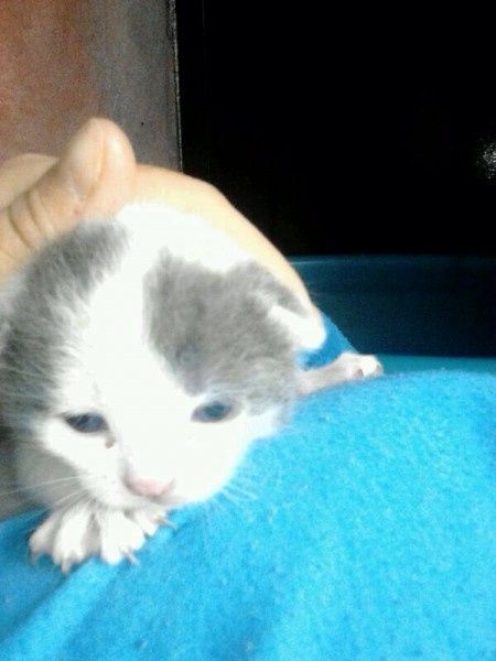 Le nostre new entri - 2