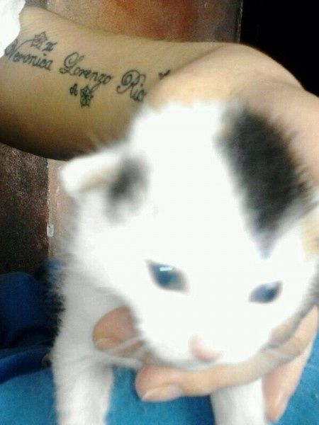 Le nostre new entri - 3