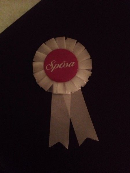 Il mio addio al nubilato - 8