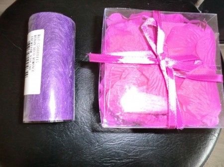 Too cute: i vostri amici animali - 2