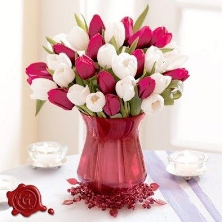 Qualcuna puo mostrarmi un'immagine? - 2