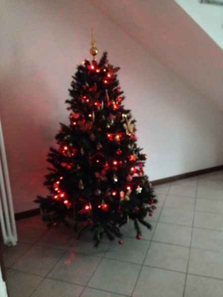 Foto del vostro primo albero di natale fatto insieme !!! - 1