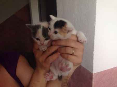 Le nostre new entri - 1