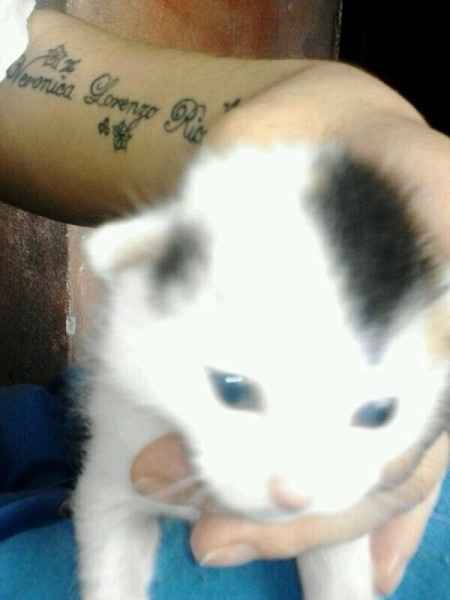 Le nostre new entri - 3