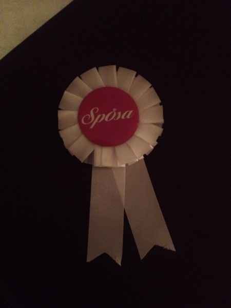 Il mio addio al nubilato - 8