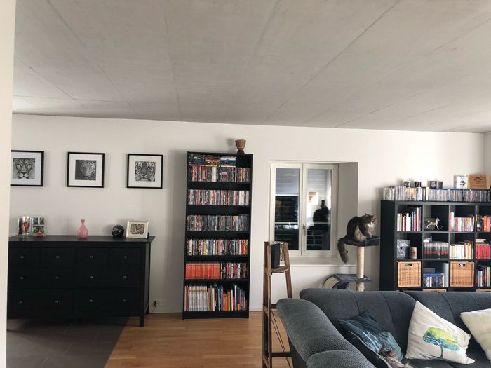 Fateci vedere il vostro nido d'amore! 🏡 - 1