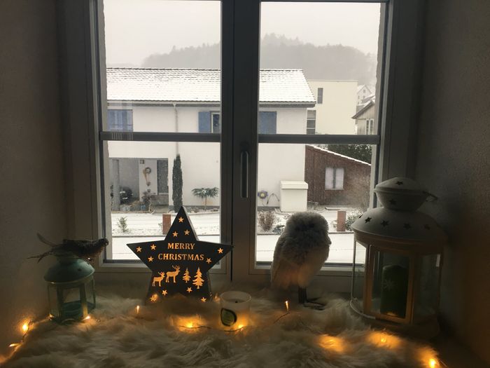 Fateci vedere il vostro nido d'amore! 🏡 - 3