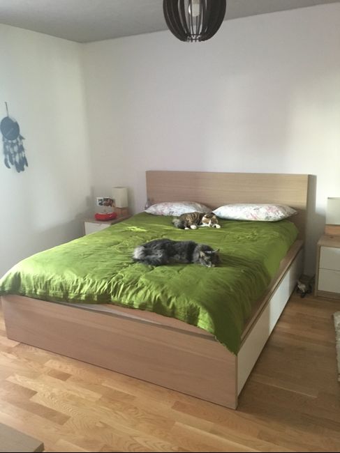 Fateci vedere il vostro nido d'amore! 🏡 - 5