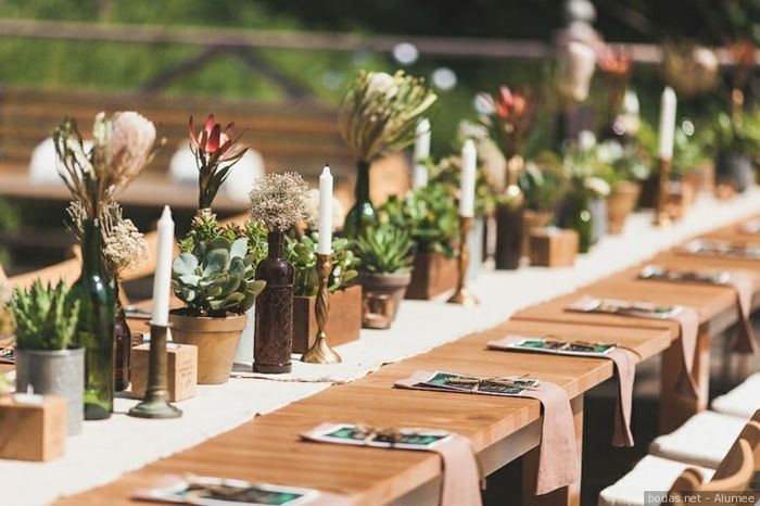 Decorare con piantine