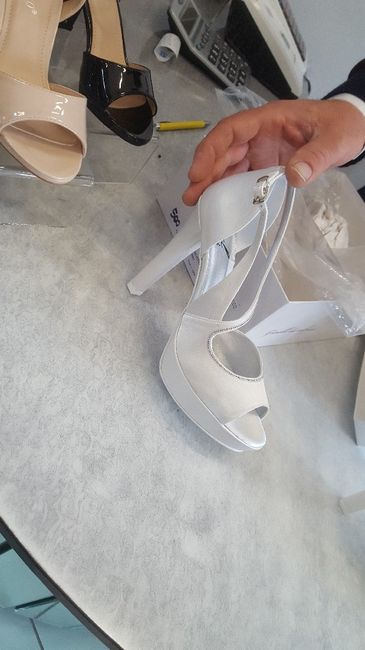 Alla ricerca delle scarpe 4